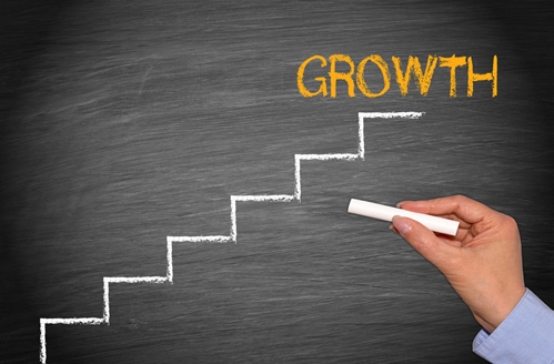 Business growth has to be built on solid financial understanding.